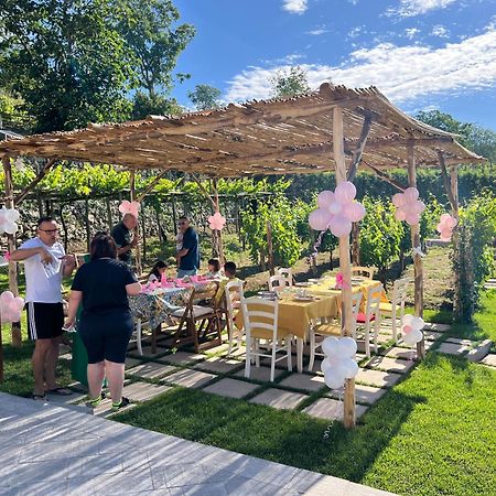 아제롤라 Il Vigneto Di Nonno Pietro B&B 외부 사진