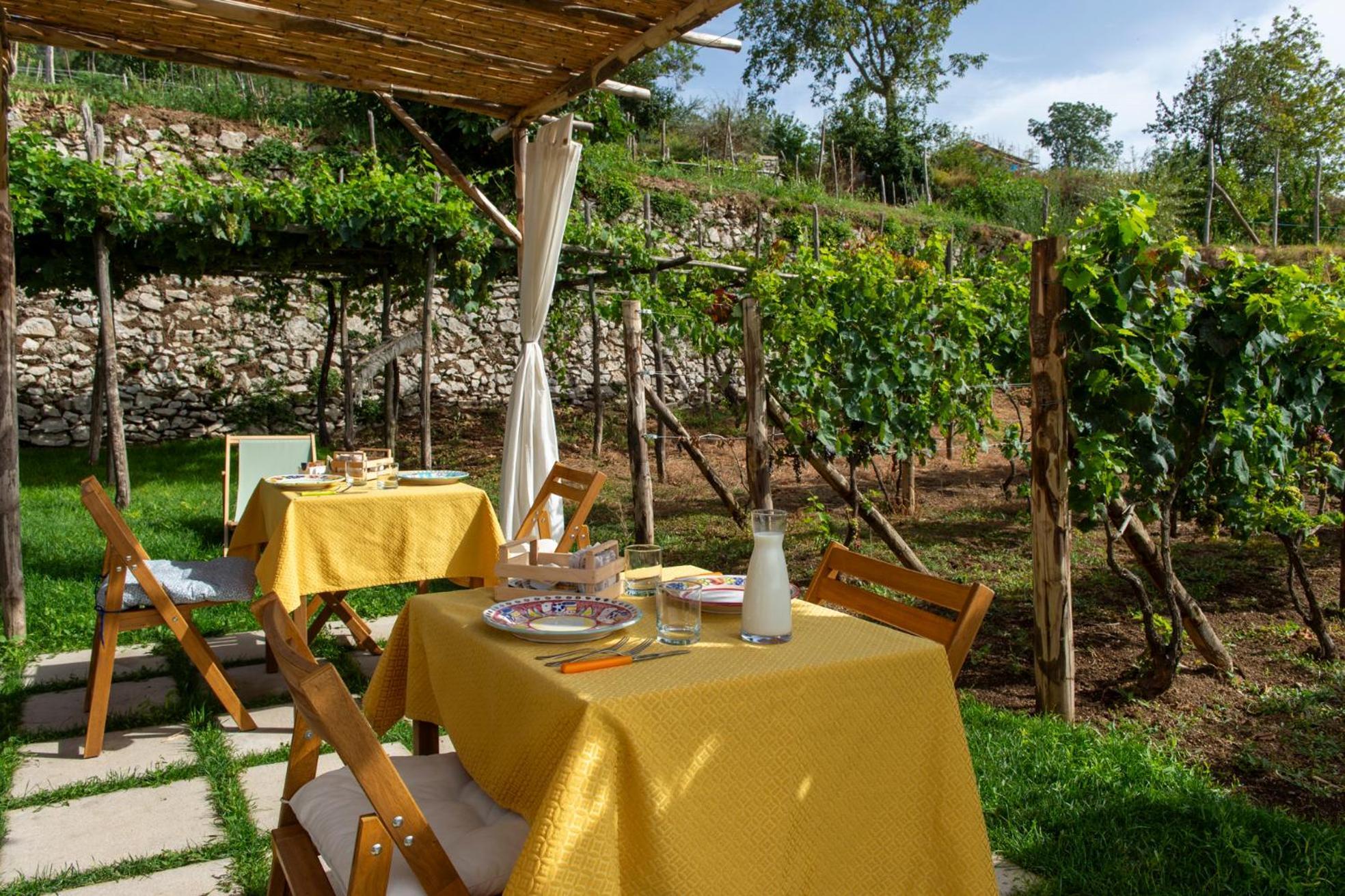 아제롤라 Il Vigneto Di Nonno Pietro B&B 외부 사진