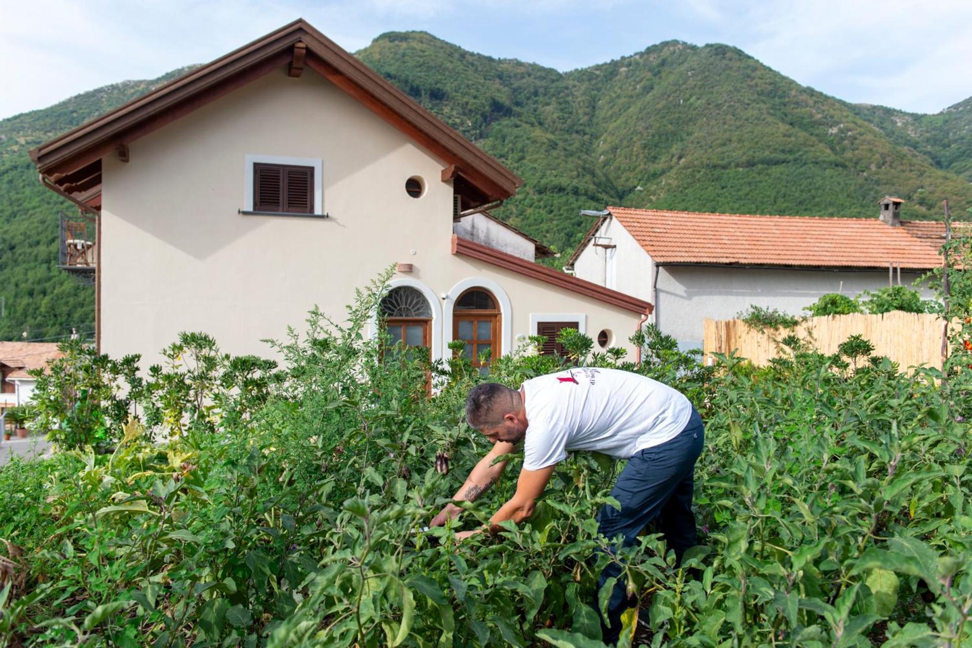 아제롤라 Il Vigneto Di Nonno Pietro B&B 외부 사진