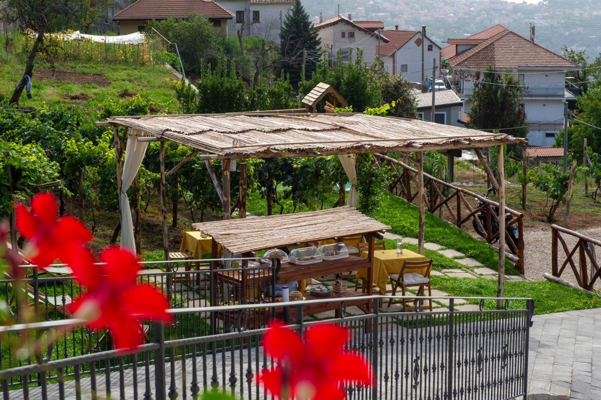 아제롤라 Il Vigneto Di Nonno Pietro B&B 외부 사진