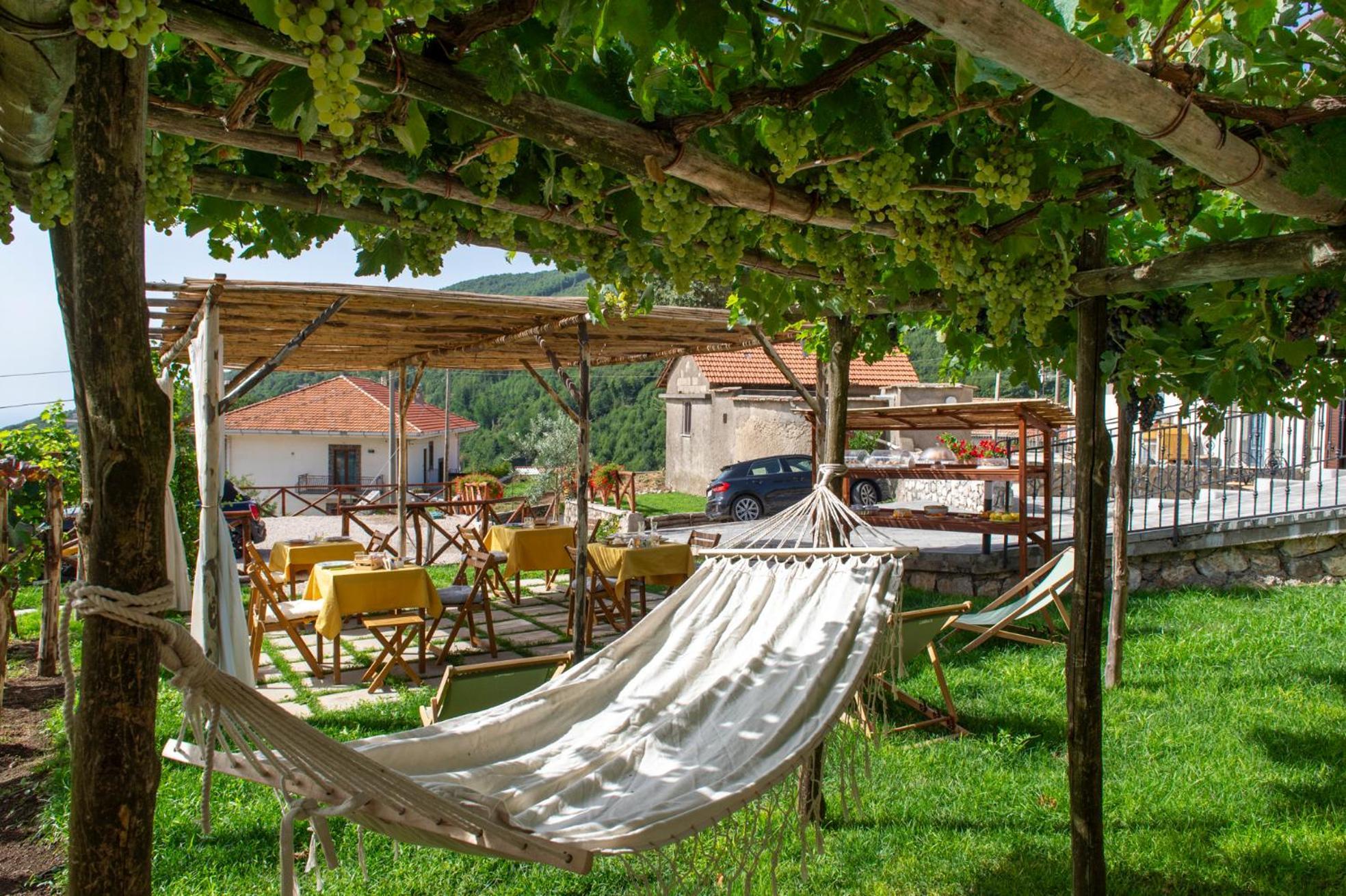 아제롤라 Il Vigneto Di Nonno Pietro B&B 외부 사진