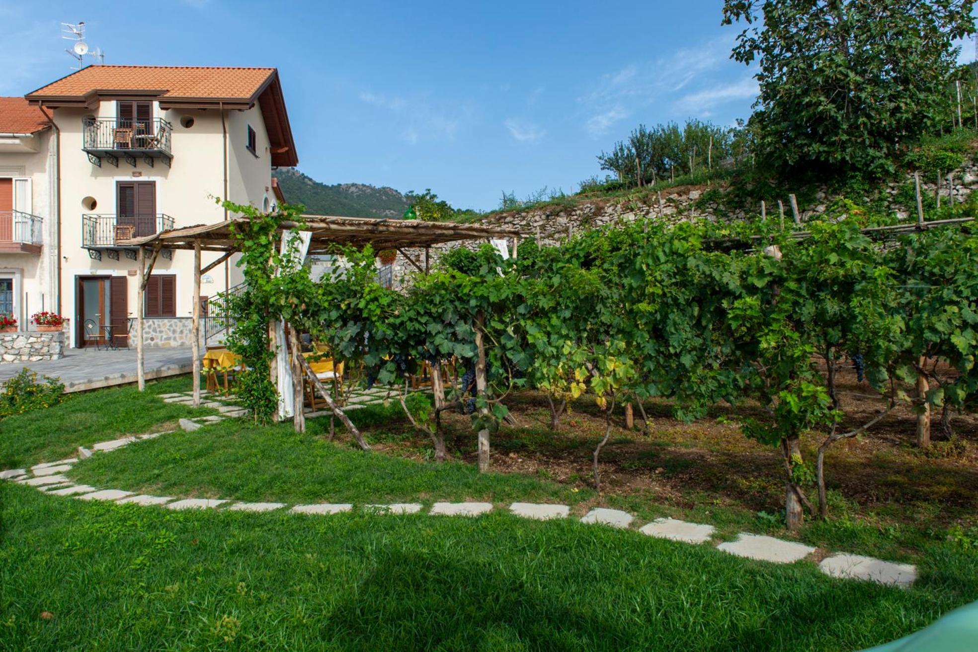 아제롤라 Il Vigneto Di Nonno Pietro B&B 외부 사진
